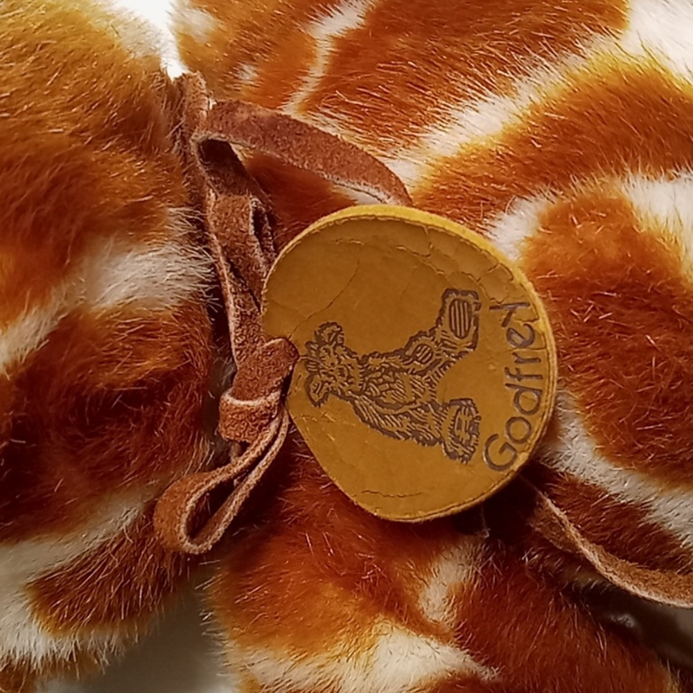 🦒Cute Giraffe - Picture 3 of 5